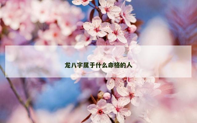 龙八字属于什么命格的人