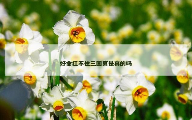 好命扛不住三回算是真的吗