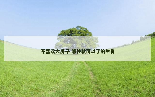 不喜欢大房子 够住就可以了的生肖