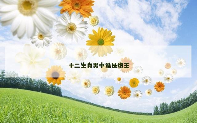十二生肖男中谁是炮王