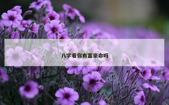 八字看你有富豪命吗
