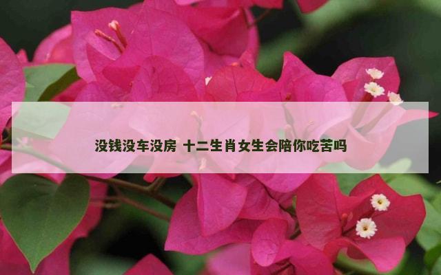没钱没车没房 十二生肖女生会陪你吃苦吗