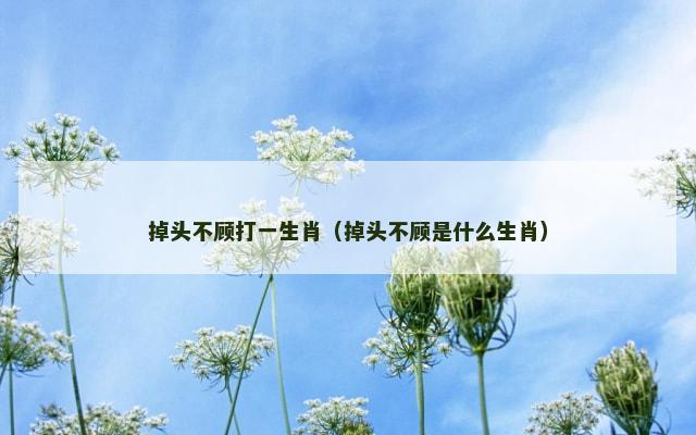 掉头不顾打一生肖（掉头不顾是什么生肖）