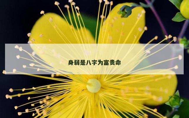 身弱是八字为富贵命