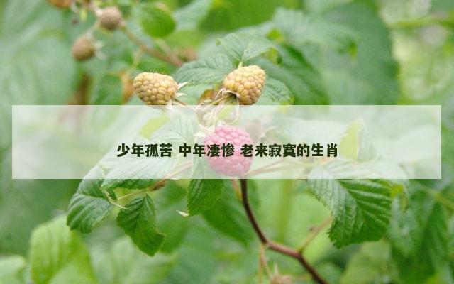 少年孤苦 中年凄惨 老来寂寞的生肖