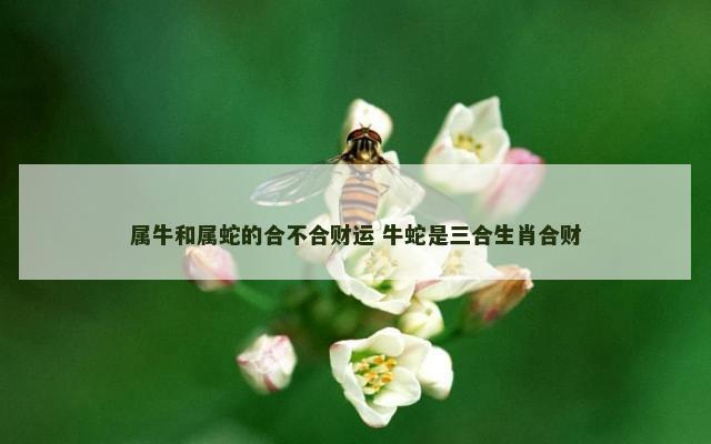 属牛和属蛇的合不合财运 牛蛇是三合生肖合财