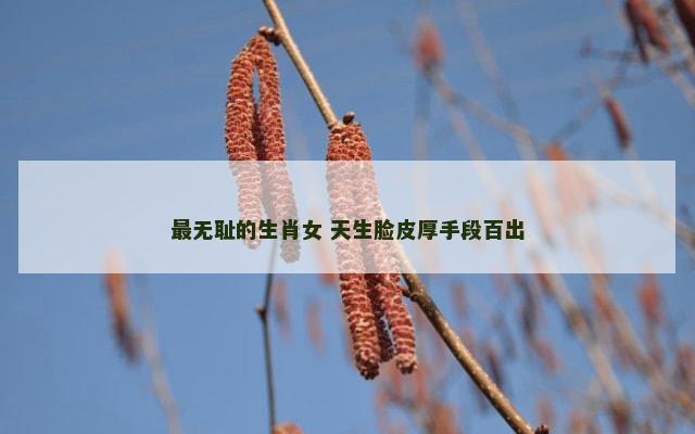 最无耻的生肖女 天生脸皮厚手段百出