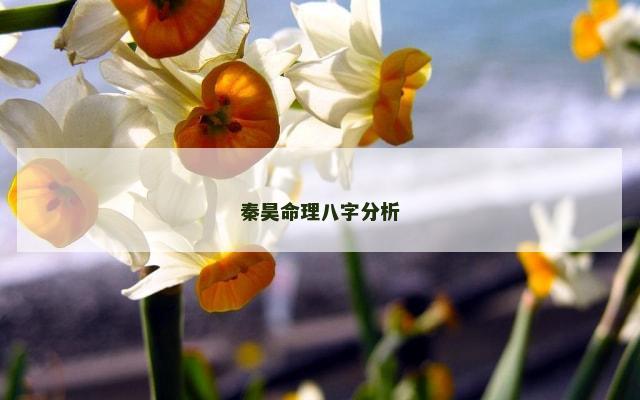 秦昊命理八字分析