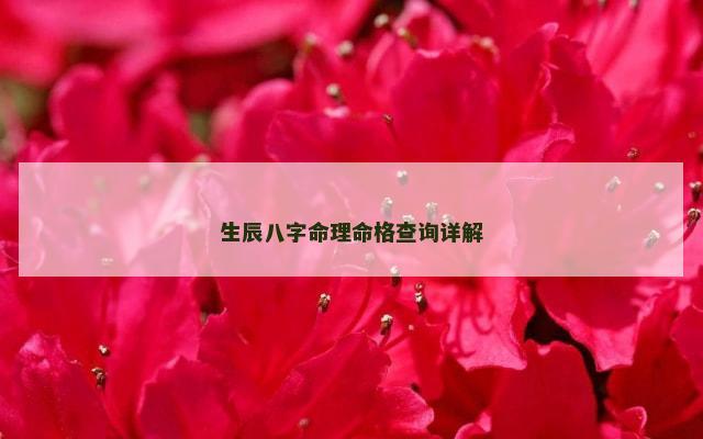 生辰八字命理命格查询详解