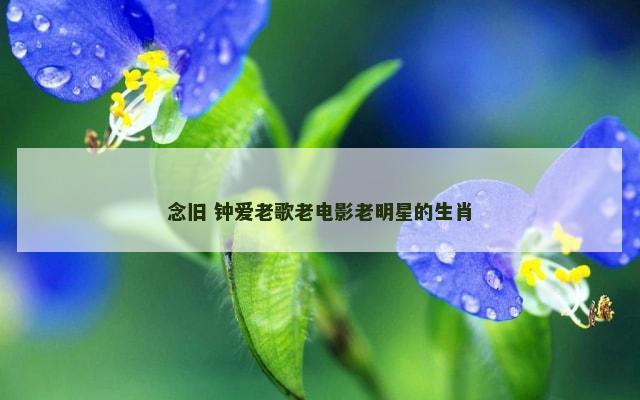 念旧 钟爱老歌老电影老明星的生肖