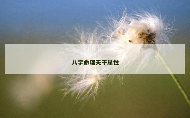 八字命理天干属性