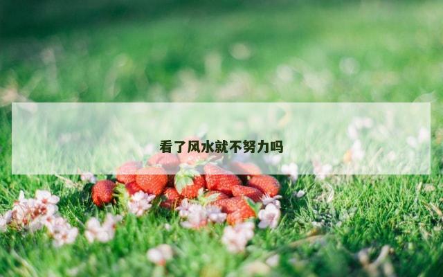 看了风水就不努力吗