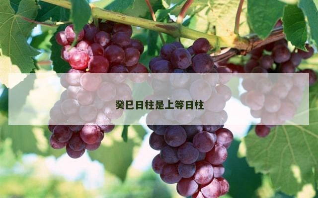 癸巳日柱是上等日柱