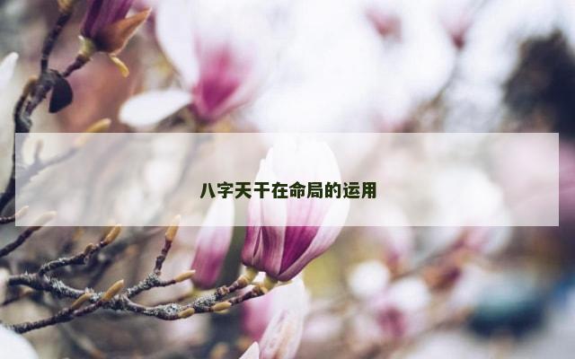 八字天干在命局的运用