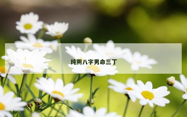 纯阴八字男命三丁