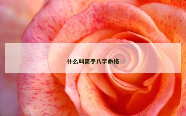 什么叫高手八字命格