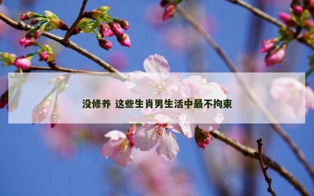 没修养 这些生肖男生活中最不拘束