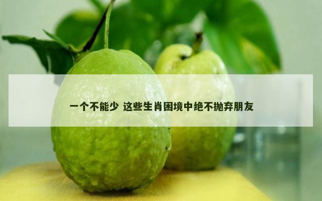 一个不能少 这些生肖困境中绝不抛弃朋友