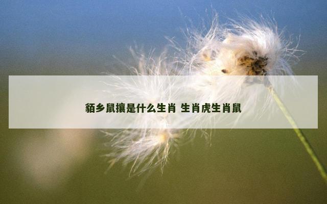 貊乡鼠攘是什么生肖 生肖虎生肖鼠