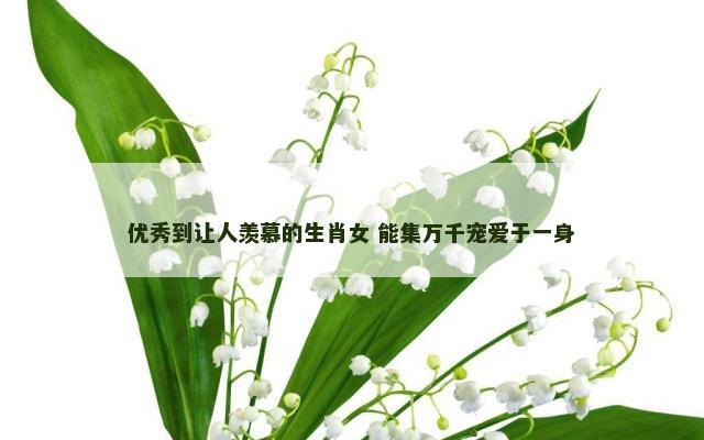 优秀到让人羡慕的生肖女 能集万千宠爱于一身