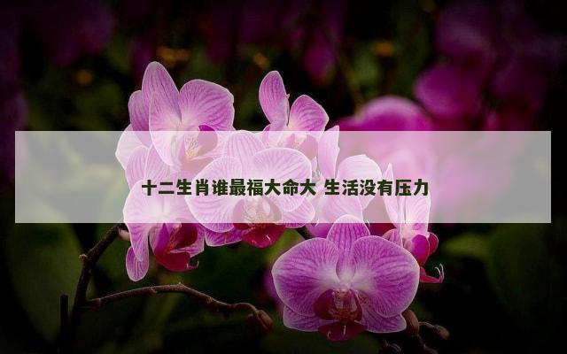 十二生肖谁最福大命大 生活没有压力