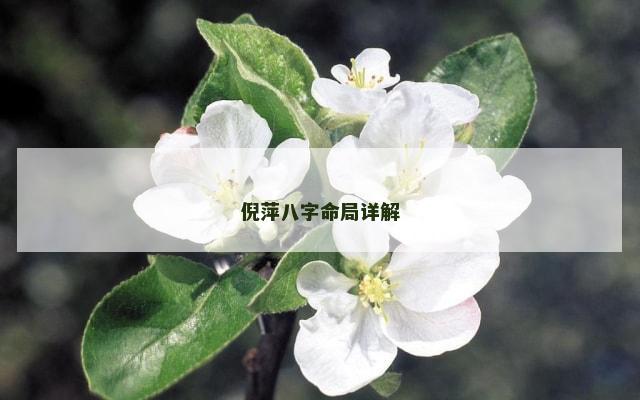 倪萍八字命局详解