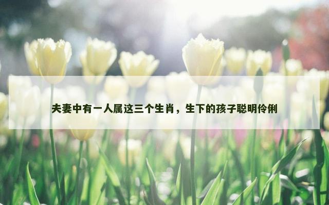 夫妻中有一人属这三个生肖，生下的孩子聪明伶俐
