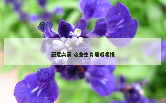恶意卖萌 这些生肖是嘤嘤怪