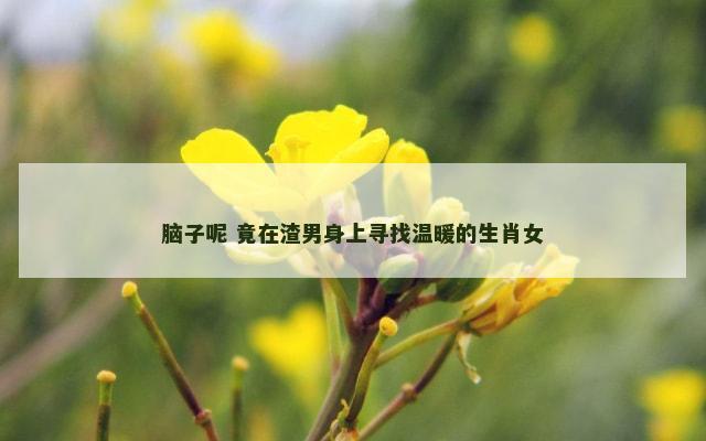 脑子呢 竟在渣男身上寻找温暖的生肖女
