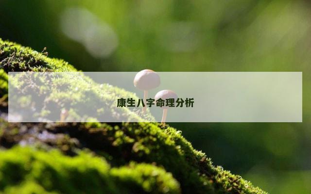 康生八字命理分析