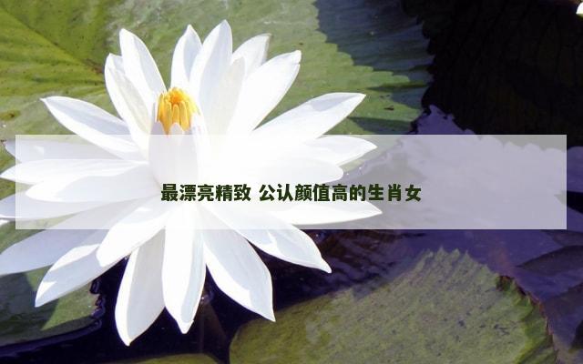 最漂亮精致 公认颜值高的生肖女