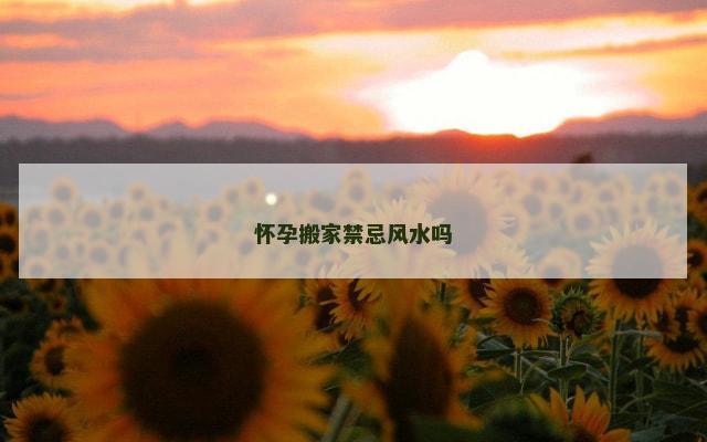 怀孕搬家禁忌风水吗
