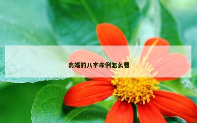 离婚的八字命例怎么看