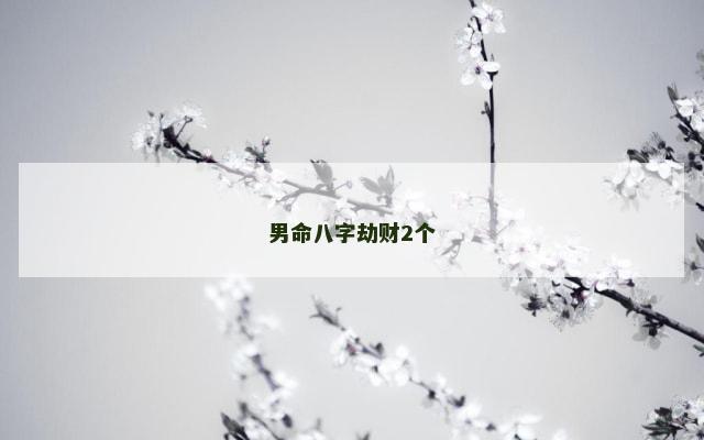 男命八字劫财2个