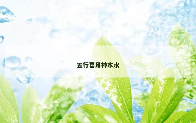 五行喜用神木水