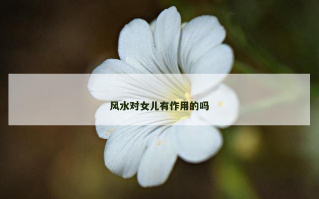 风水对女儿有作用的吗