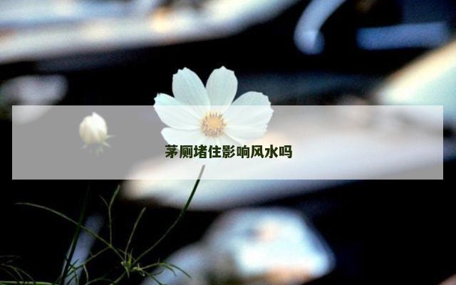 茅厕堵住影响风水吗