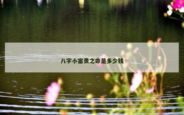 八字小富贵之命是多少钱