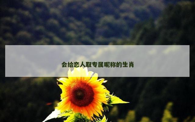 会给恋人取专属昵称的生肖