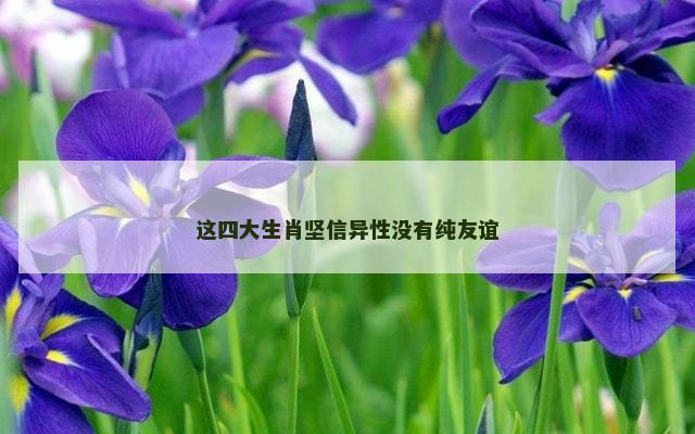 这四大生肖坚信异性没有纯友谊