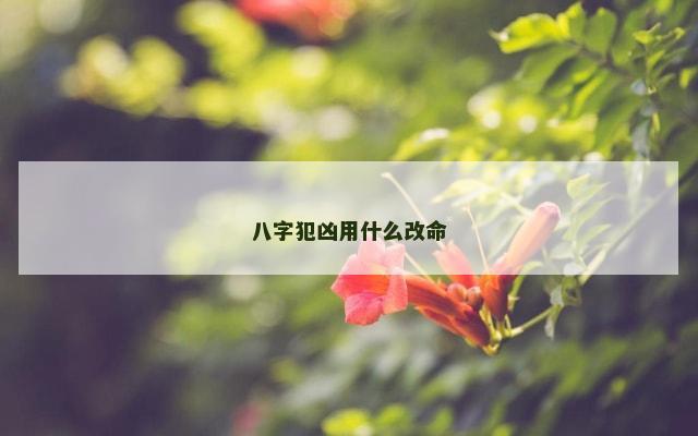 八字犯凶用什么改命