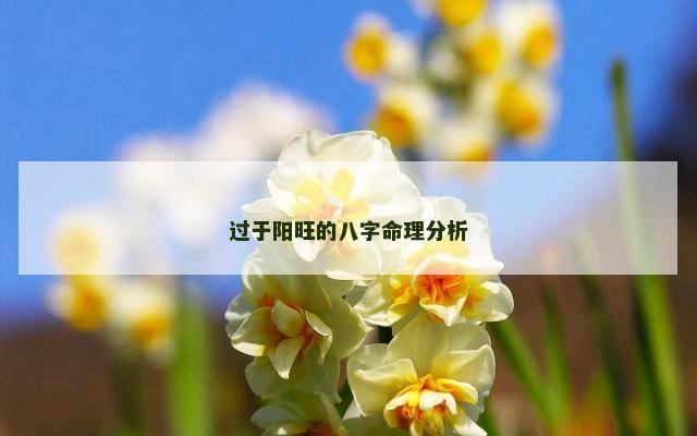 过于阳旺的八字命理分析