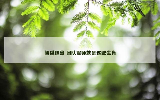 智谋担当 团队军师就是这些生肖