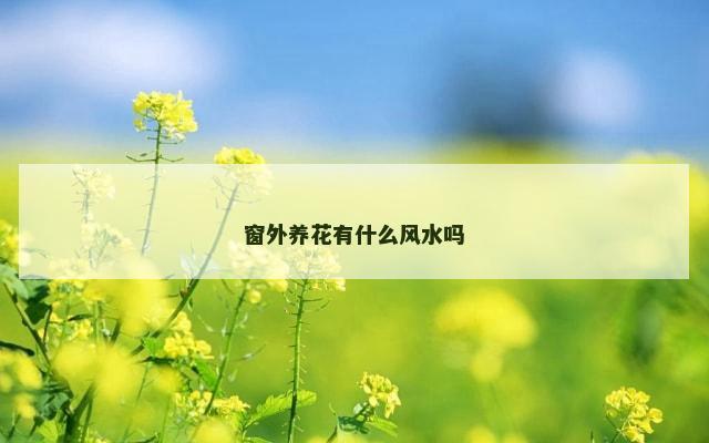 窗外养花有什么风水吗