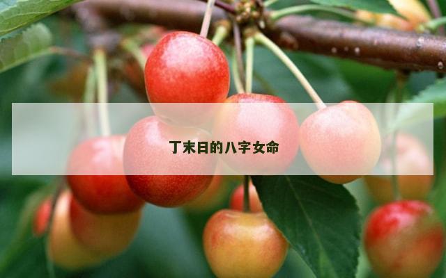 丁末日的八字女命