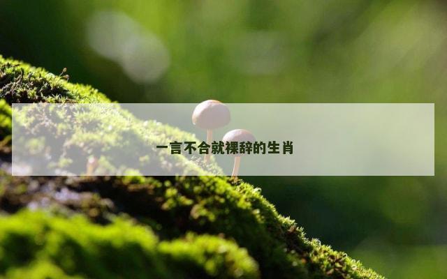 一言不合就裸辞的生肖