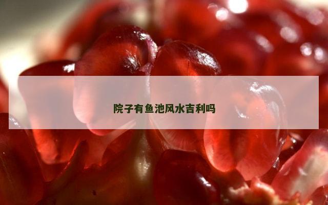 院子有鱼池风水吉利吗