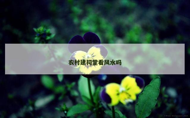 农村建祠堂看风水吗