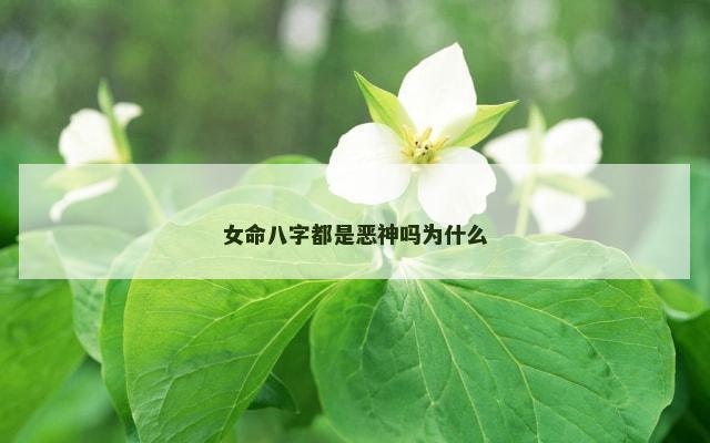 女命八字都是恶神吗为什么