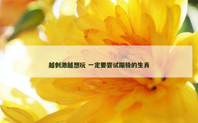 越刺激越想玩 一定要尝试蹦极的生肖